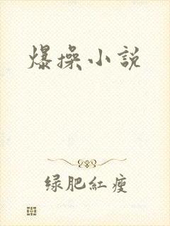 爆操小说
