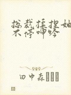 总裁揉捏她两乳不停呻吟