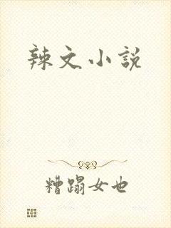 辣文小说