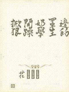 掀开奶罩边躁狠狠躁学生的小文字