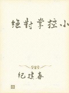 绝对掌控小说