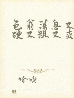 色翁荡息又大又硬又粗又爽