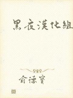 黑夜汉化组
