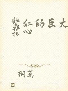 紫红的巨大顶开花心