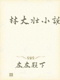 林大壮小说阅读