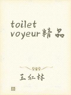 toilet voyeur精品封面