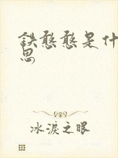 铁憨憨是什么意思