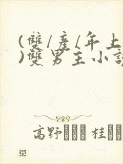 (双/产/年上)双男主小说