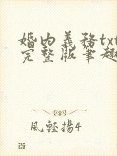 婚内义务txt完整版笔趣阁