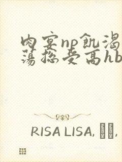 肉宴np饥渴放荡总受高hbl