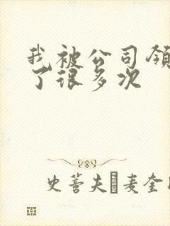 我被公司领导C了很多次