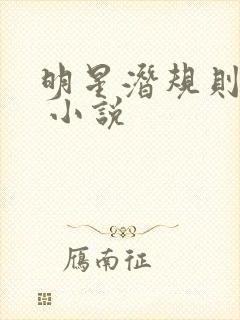 明星潜规则之皇 小说