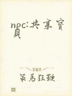 npc:共享宝贝