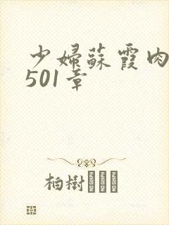 少妇苏霞肉欲第501章