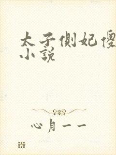 太子侧妃傻乎乎小说