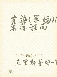 有染(军婚)/叶落淮南