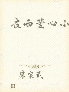 夜雨莹心小说