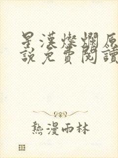 星汉灿烂原著小说免费阅读