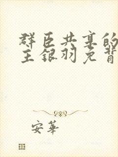 群臣共享的小公主银羽免背刺