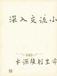 深入交流小说