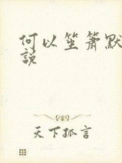 何以笙箫默 小说