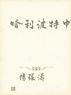 哈利波特中文版