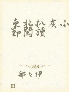 东北扒灰小说分节阅读封面