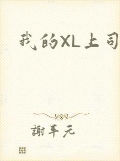 我的XL上司