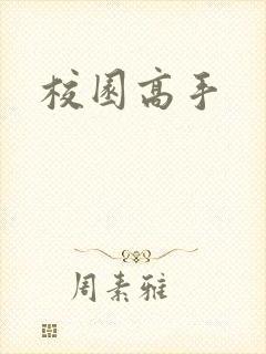 校园高手封面
