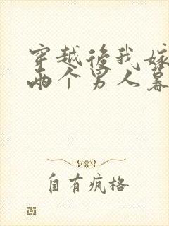 穿越后我嫁给了两个男人暮色酒歌