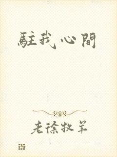 驻我心间