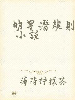 明星潜规则之皇 小说封面