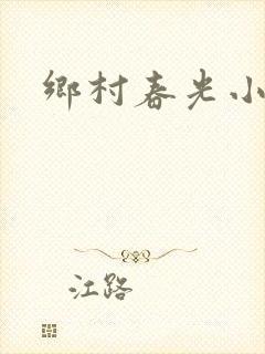 乡村春光小说