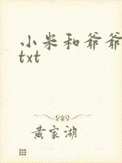 小米和爷爷全篇txt封面