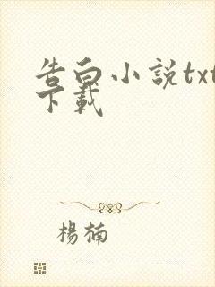 告白小说txt下载