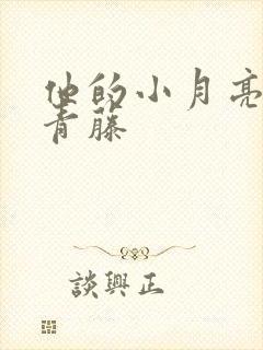 他的小月亮by青藤