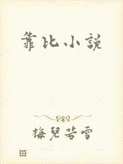 靠比小说