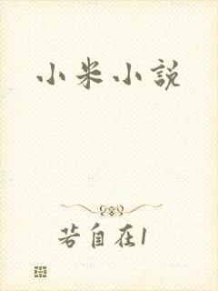 小米小说