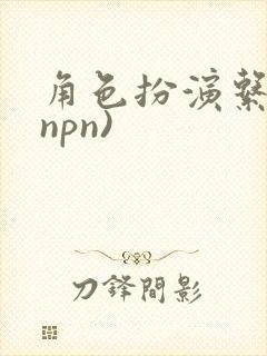 角色扮演系统(npn)