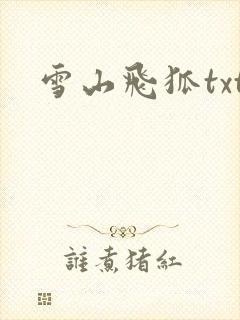 雪山飞狐txt