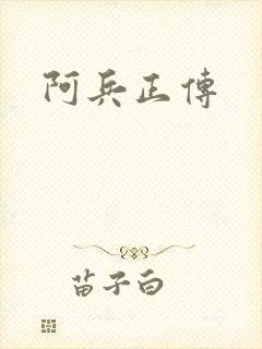 阿兵正传