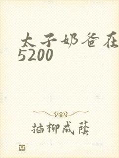 太子奶爸在花都5200