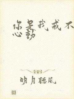 你是我戒不掉的心动