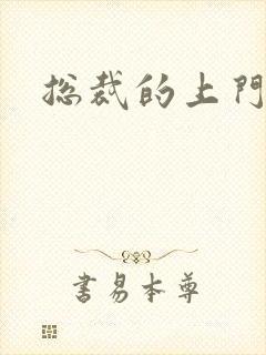 总裁的上门女婿