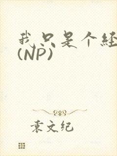 我只是个经纪人(NP)