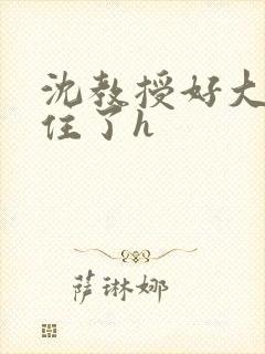 沈教授好大含不住了h