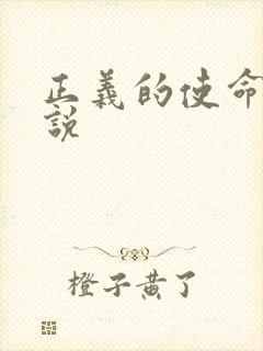 正义的使命 小说