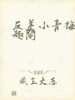 反差小青梅 笔趣阁