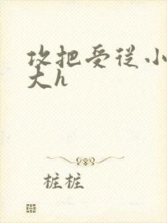 攻把受从小睡到大h