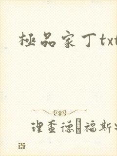 极品家丁txt